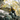 Person mountain biking through rocky terrain with autumn foliage
