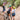 Three women on a mountain bike trail giving each other high fives.