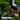 Person riding a mountain bike through a forest with 'Protection' text overlay.